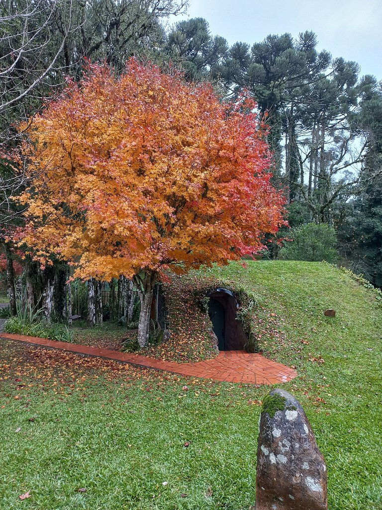 Casa Eliot - Sítio dos Cogumelos