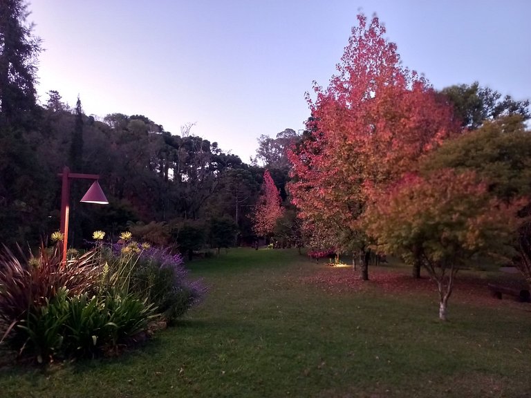 Casa Eliot - Sítio dos Cogumelos